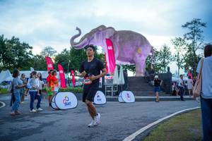 BIB: 
                            <button type="button" onclick="openModal(26551729)" class="btn btn-primary btn-sm float-right btn-popup" data-toggle="modal" data-target=".modal-high-quality">
                        <i class="fas fa-shopping-cart"></i> Add to Cart
                    </button>
                                            <button type="button" onclick="isThisMe(26551729, true)" class="btn btn-success btn-sm float-right btn-popup btn-isme hidden" data-toggle="tooltip" data-placement="bottom" title="นี่คือรูปของคุณใช่ไหม คลิกที่นี่เพื่อเอาเข้าอัลบั้ม">
                        <i class="fas fa-plus"></i> Add to album
                    </button>
                    <button type="button" onclick="isThisMe(26551729, false)" class="btn btn-warning btn-sm float-right btn-popup btn-isnotme hidden">
                        <i class="fas fa-ban"></i> Remove from album
                    </button>